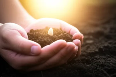 Illustration thanks - Image 1