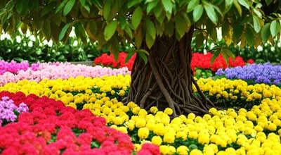 Illustration insidious