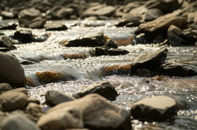 Illustration babble - Image 1