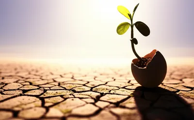 Illustration fails - Image 1