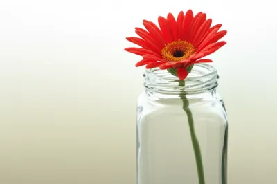 Illustration odorless