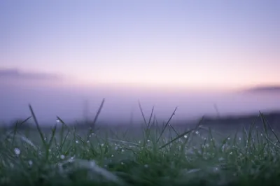 Illustration soft - Image 1