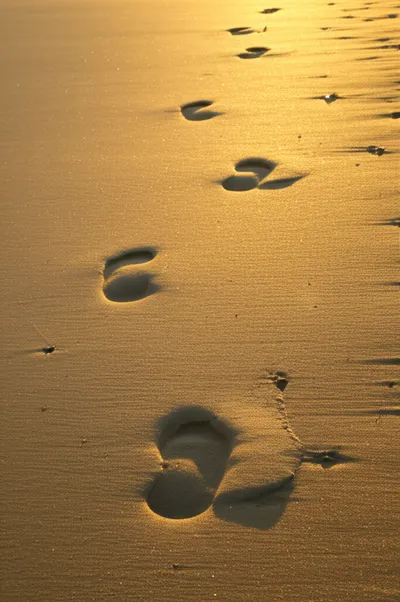 Illustration footings - Image 1