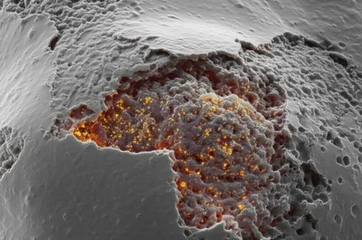 Illustration promote - Image 1