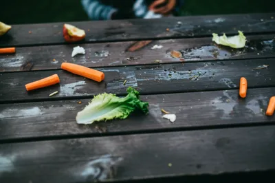 Illustration picking - Image 1