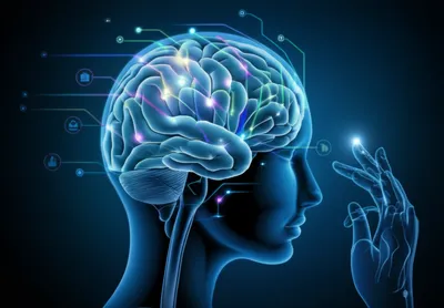 Illustration neurosciences