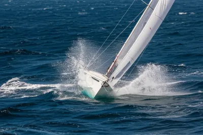 Illustration purl - Image 1