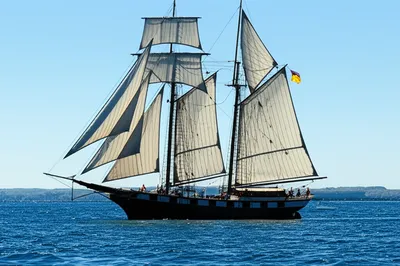 Illustration taut - Image 1