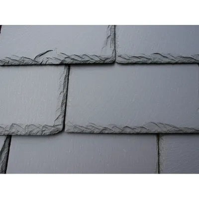 Illustration tail - Image 1