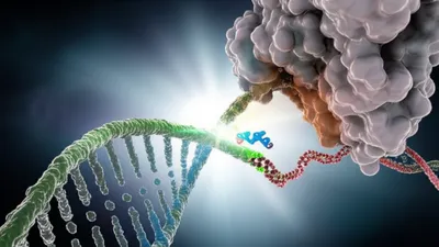 Illustration primers - Image 1