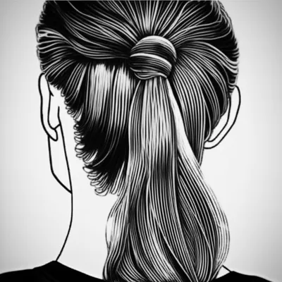 Illustration ponytail