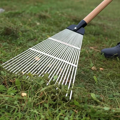 Illustration rake - Image 1