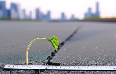 Illustration creeps - Image 1