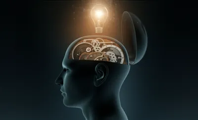 Illustration conceit - Image 1