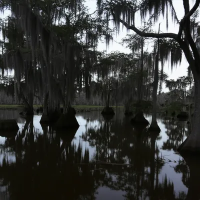 Illustration murky - Image 1