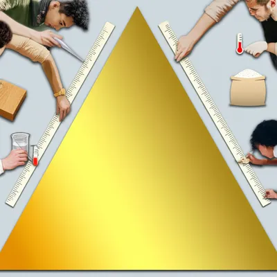 Illustration standardized - Image 1