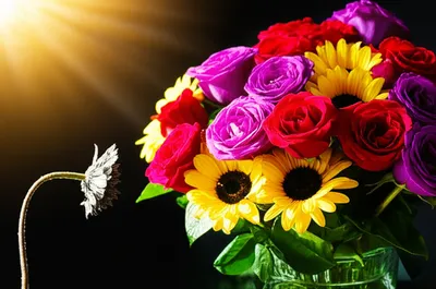 Illustration knives - Image 1