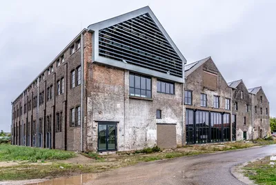 Illustration transformed - Image 2