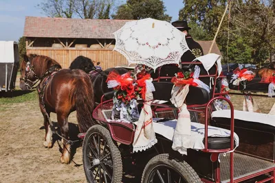 Illustration rustics - Image 2