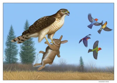 Illustration check - Image 1