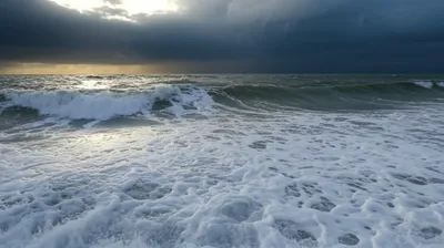 Illustration abates - Image 1