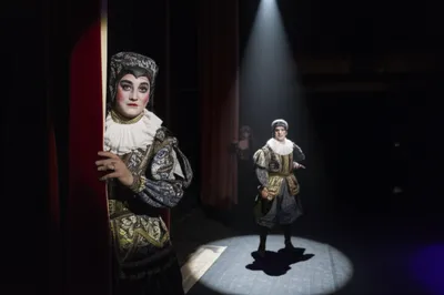 Illustration understudying