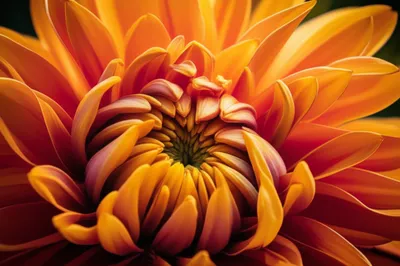 Illustration flaring - Image 1