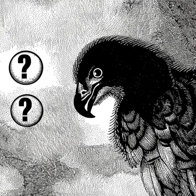 Illustration trivia - Image 1