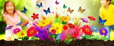 Illustration exuberance