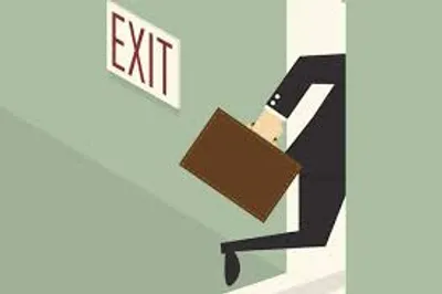 Illustration split - Image 2