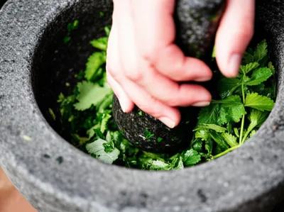 Illustration bray - Image 1