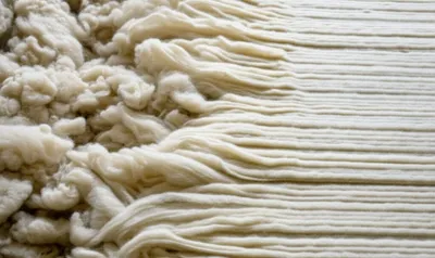 Illustration carding - Image 1