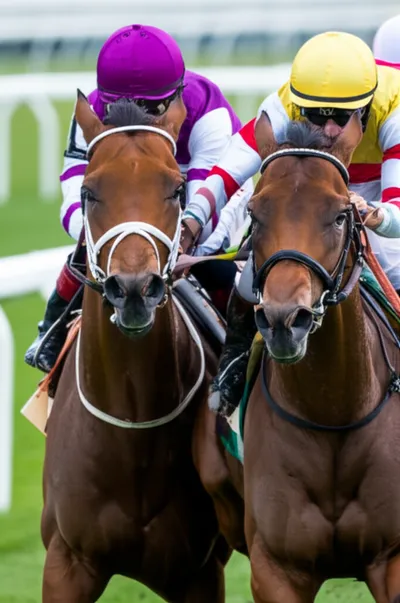 Illustration jockeying - Image 1