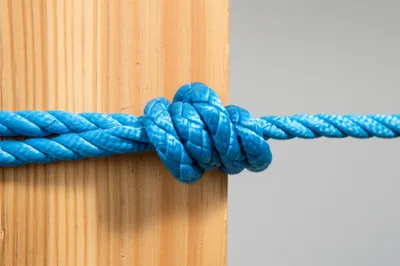 Illustration bind - Image 1