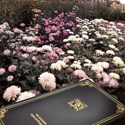 Illustration faded - Image 1