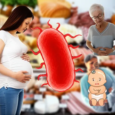 Illustration listeria - Image 1