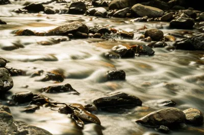 Illustration rumbles - Image 1