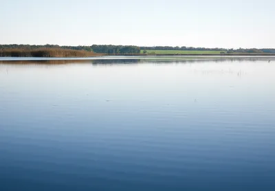 Illustration mere - Image 1