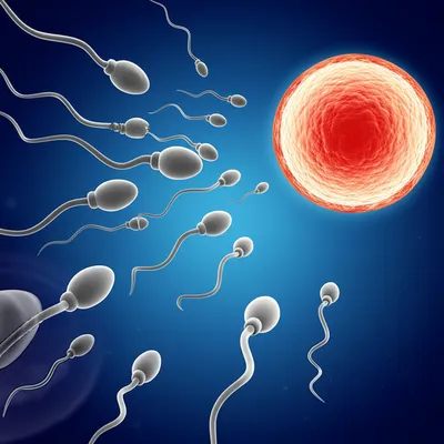 Illustration infertility