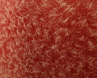 Illustration fuzzy - Image 1