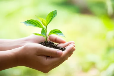 Illustration sustain - Image 1