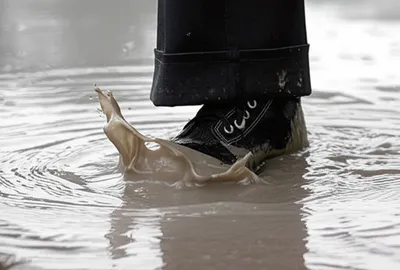 Illustration slush - Image 1