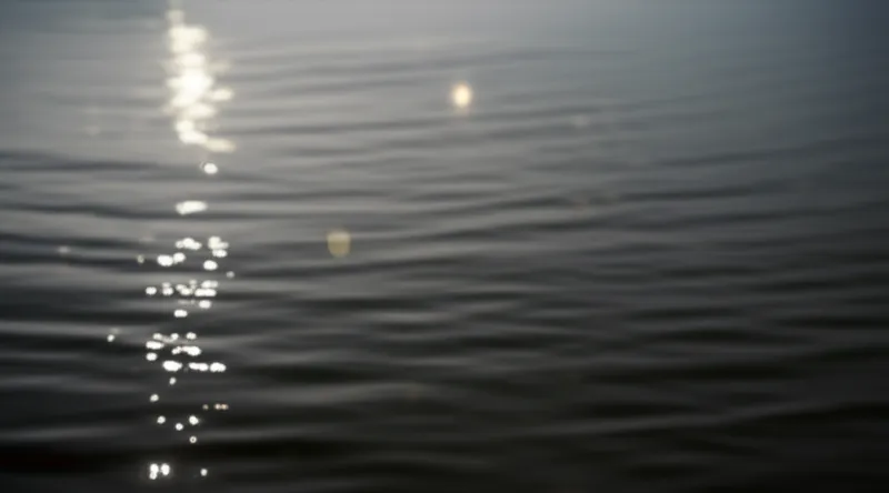 Illustration visuelle du mot « shimmering » - Scintiller, miroiter