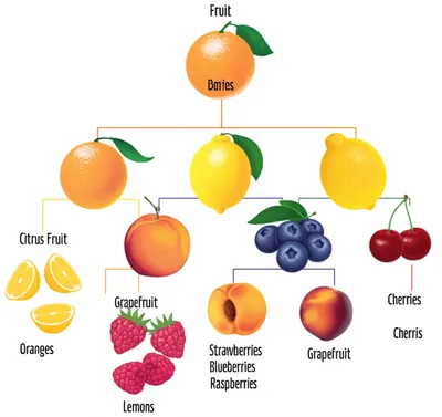 Illustration hyponym - Image 1