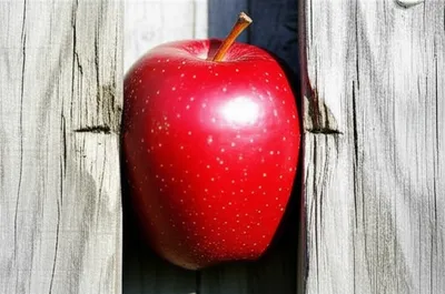 Illustration wedged - Image 1