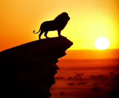 Illustration may - Image 1