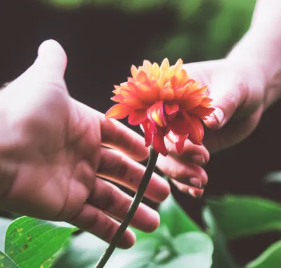 Illustration denying - Image 1