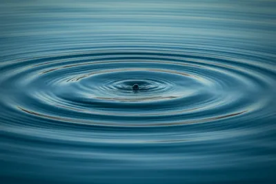 Illustration propagation - Image 1