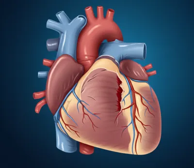 Illustration hiatus - Image 1