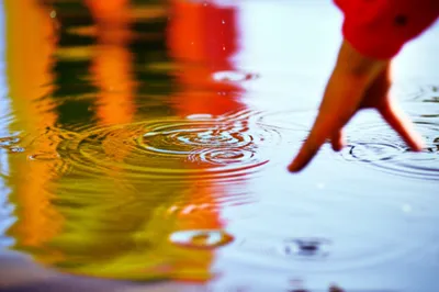 Illustration dabble - Image 1